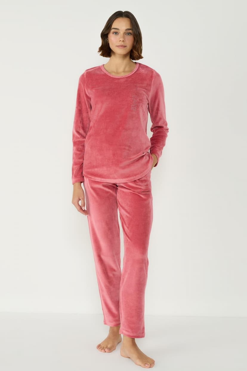 TCTY24FWPTK022-Gül Kurusu